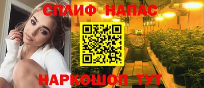 сатива Комсомольск-на-Амуре